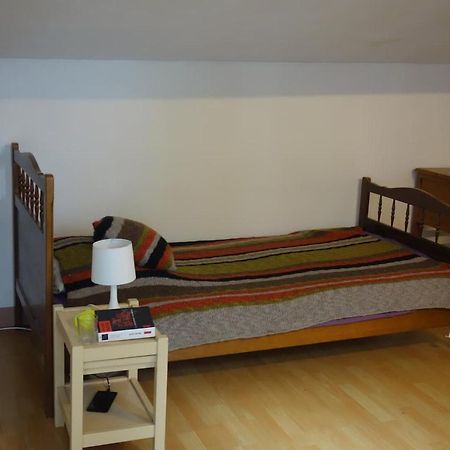 Bel Appartement Au Coeur Du Puy En Velay Le Puy-en-Velay Buitenkant foto