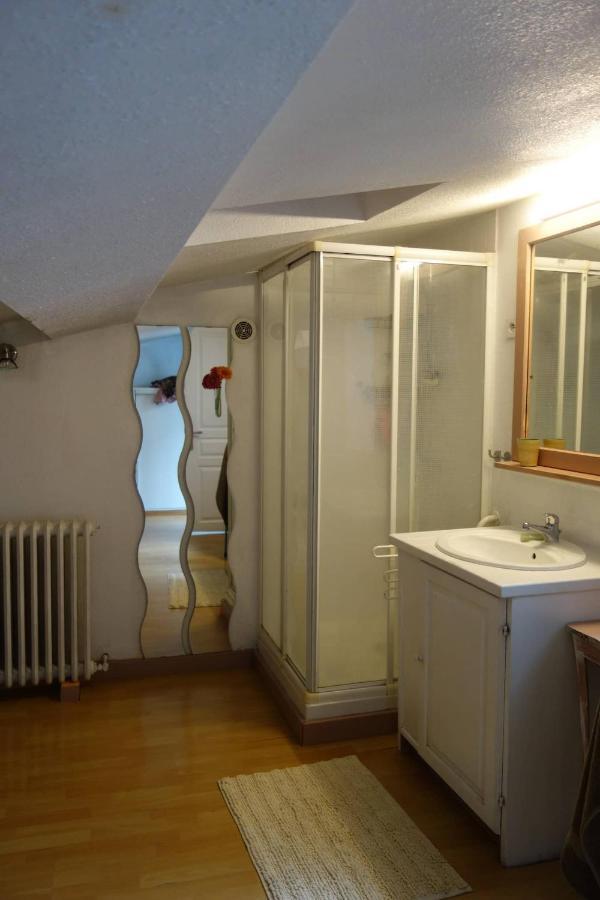Bel Appartement Au Coeur Du Puy En Velay Le Puy-en-Velay Buitenkant foto